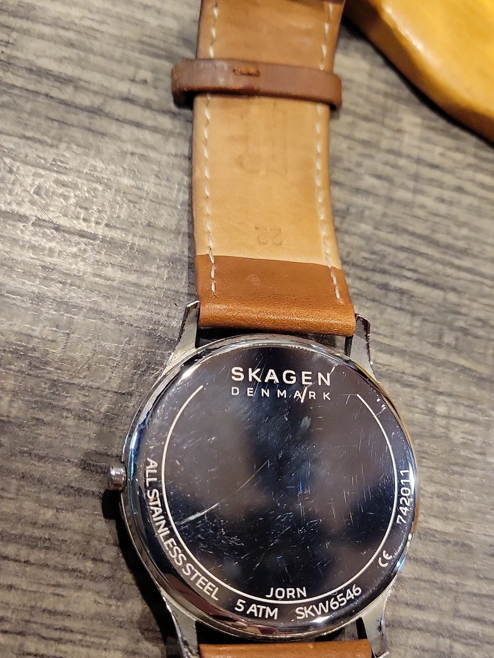 Mens Skagen Classic 